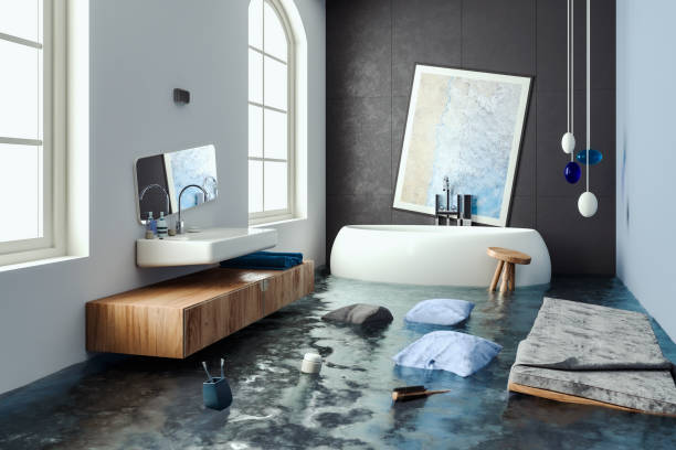 Best Commercial water damage restoration  in Boulder Hl, IL