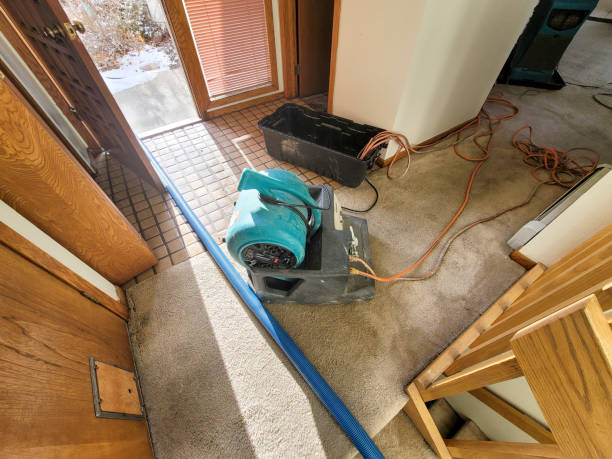 Trusted Boulder Hill, IL Water damage restoration Experts