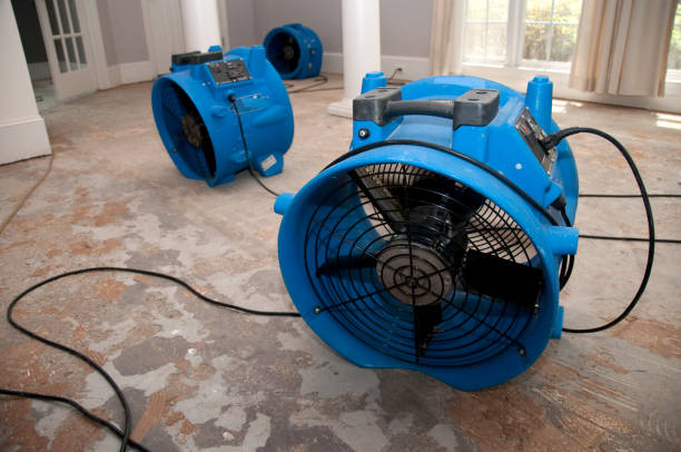 Water damage restoration process in Boulder Hill, IL