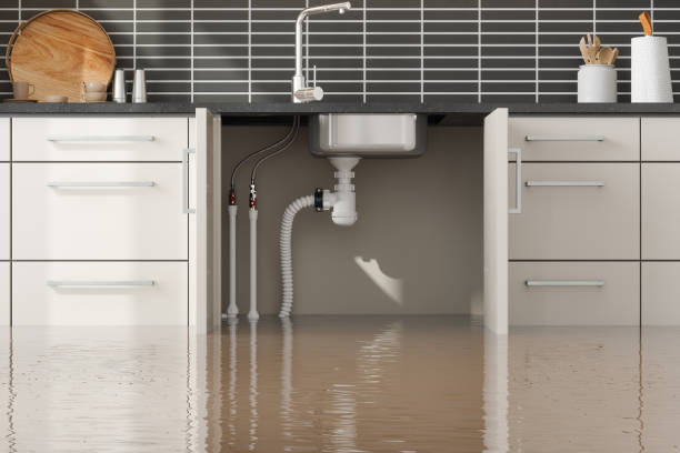 Professional Water damage restoration in Boulder Hill, IL