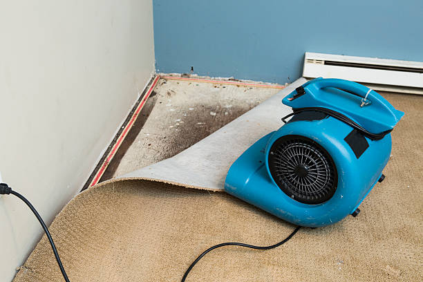 Best Water damage contractors near me  in Boulder Hl, IL